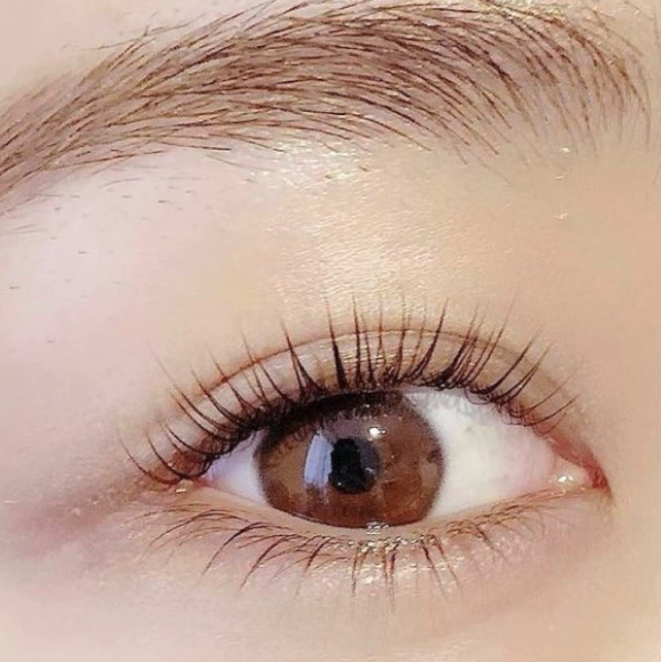 Lanne Eyebrow Eyelash Studio