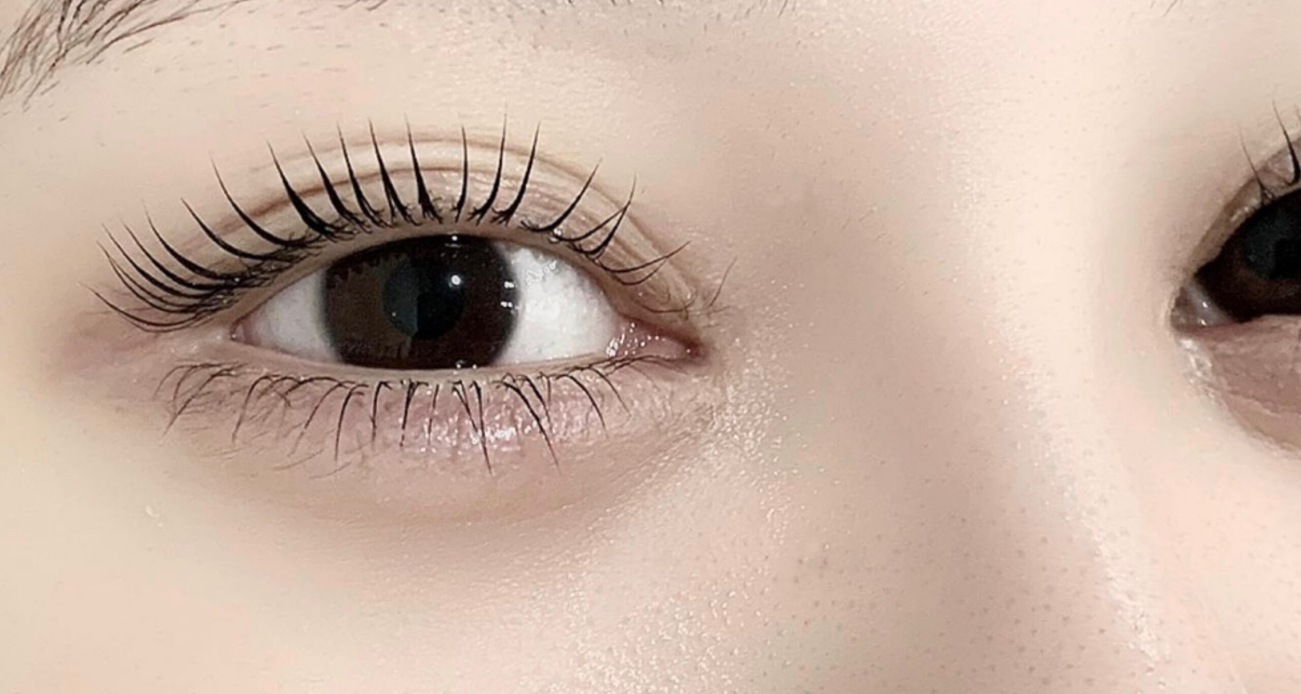 コンテンツ - 新宿区高田馬場の眉毛サロン・マツエクなら｜ LanNe